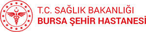 BURSA ŞEHİR HASTANESİ