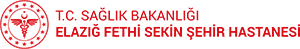 ELAZIĞ FETHİ SEKİN ŞEHİR HASTANESİ