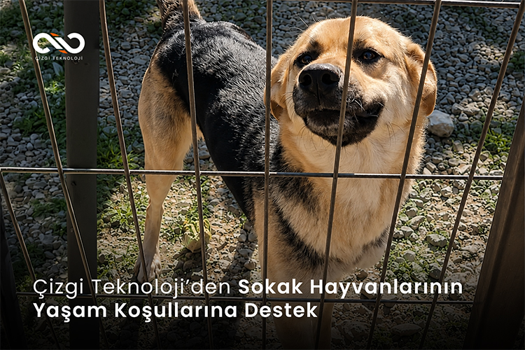 Çizgi Teknoloji’den Sokak Hayvanlarının Yaşam Koşullarına Destek
