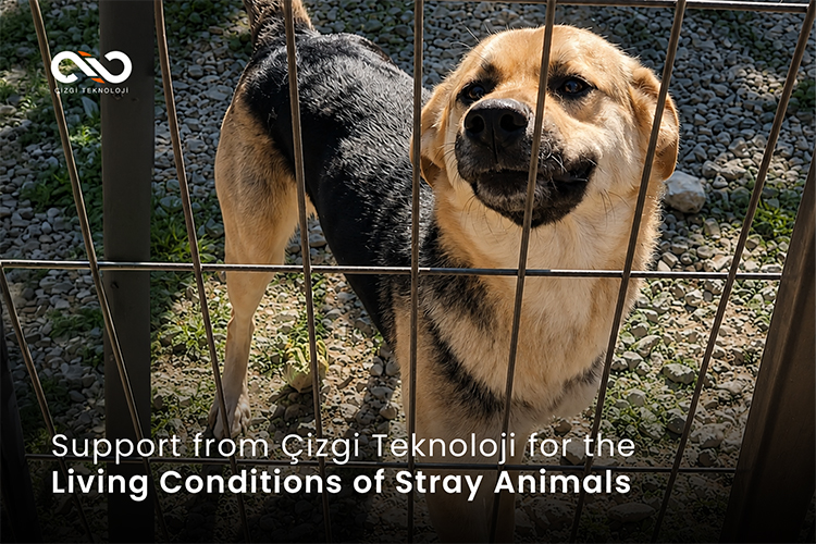 Support from Çizgi Teknoloji for the Living Conditions of Stray Animals